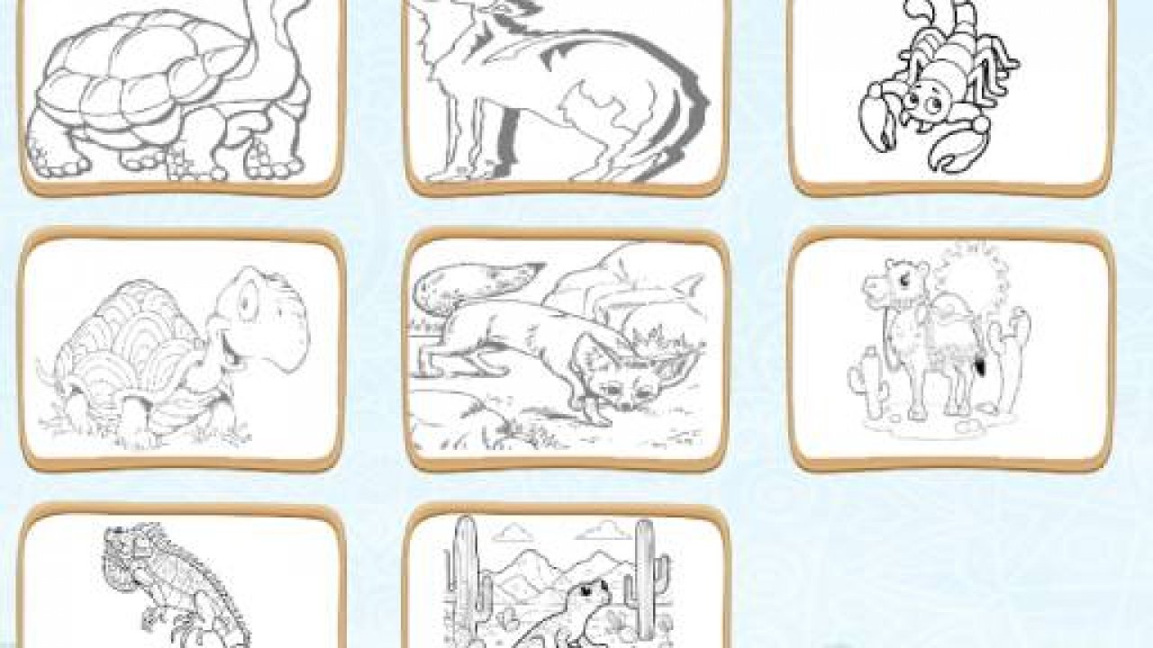 Desert Animals Coloring Book
