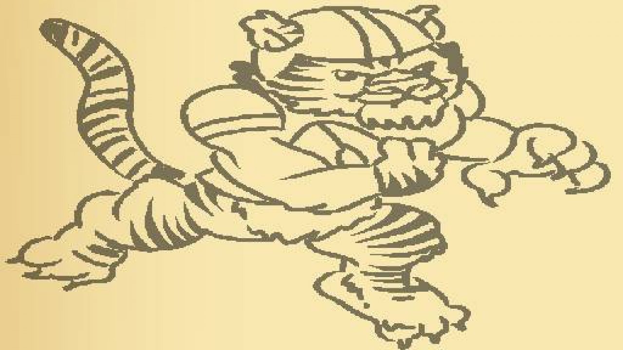 Tiger Coloring Book gameplay screenshot